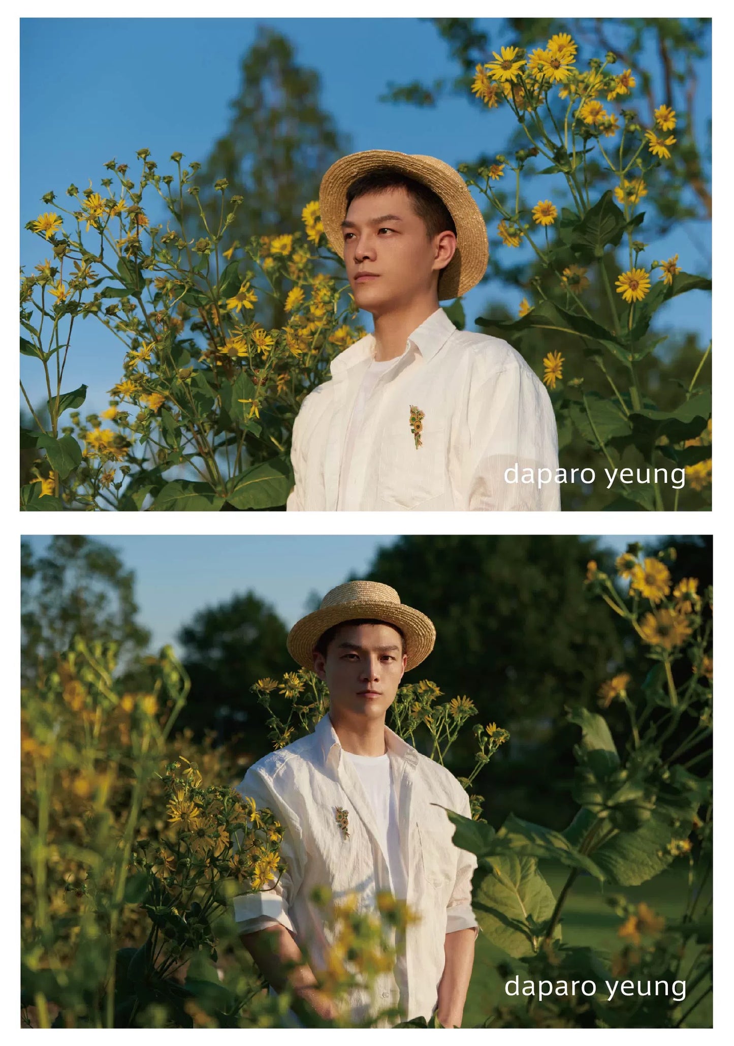 Daparo brooch - Vincent’s Sunflowers