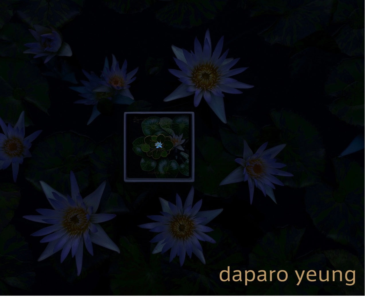 Daparo brooch - Pygmy Rwandan Water Lily (luminous)