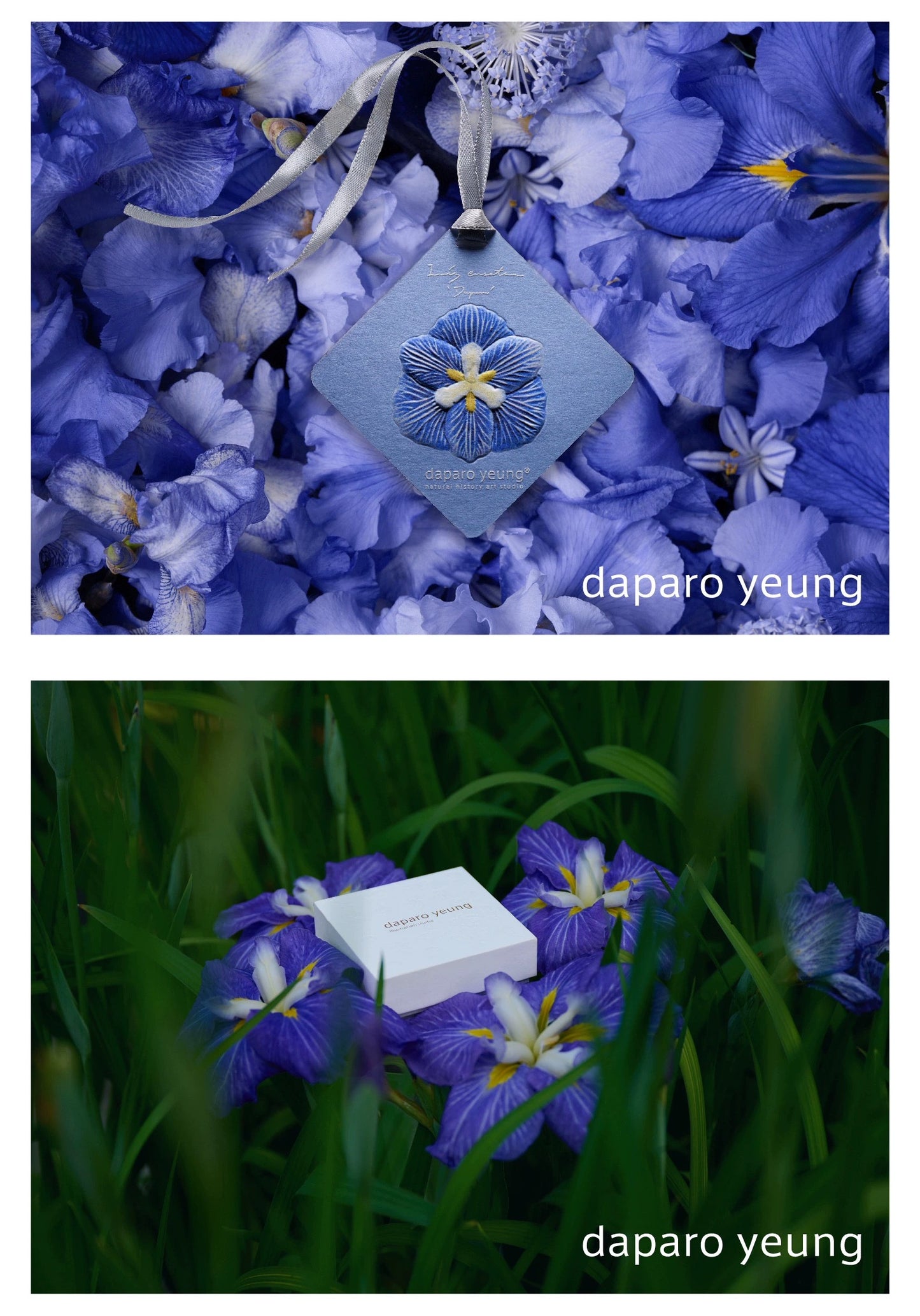 Daparo brooch - Iris ensata ‘Daparo’