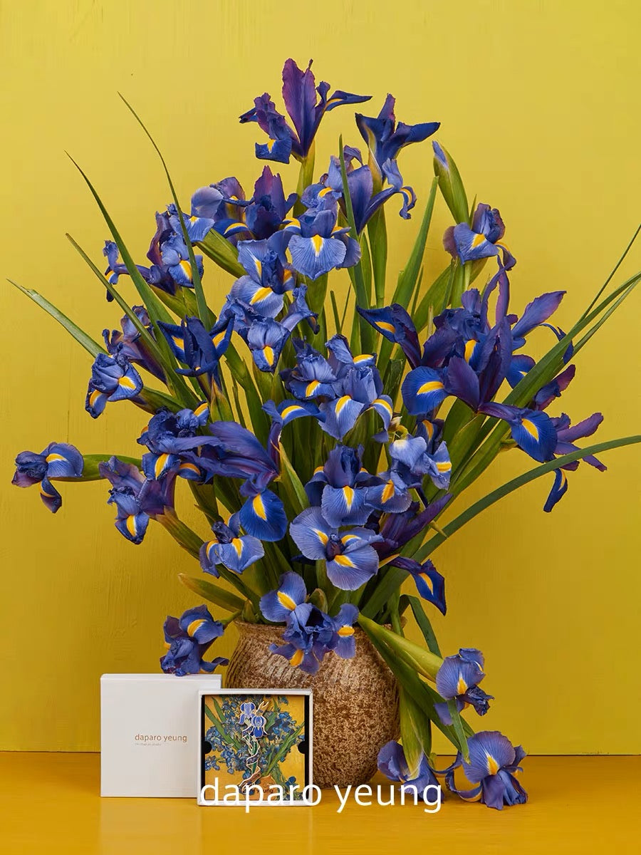 Daparo brooch - Vincent’s Irises